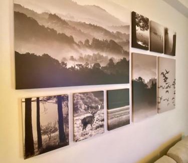 Kinosargous Apartment | New Delightful Apartment