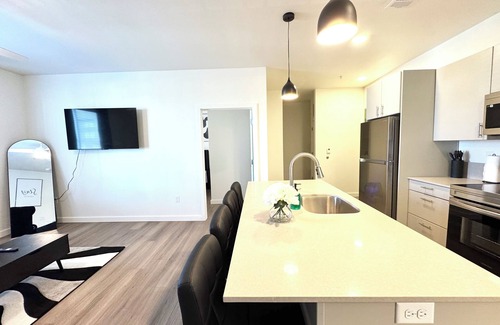 Central Oklahoma City Condo | New Downtown Luxury Apt 2 King Beds Free Parking Fast WiFi Pool & Gym
