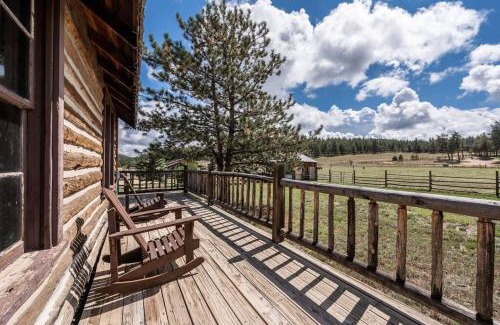 Lake George Ski Chalet | New! Historic Chalet in Colorado National Forest