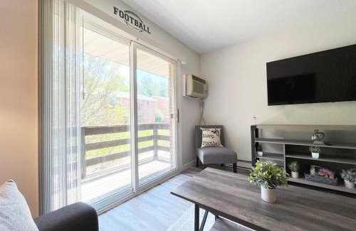 Canton Apartment | New Hof Apt! -balcony - Pet Friendly - Sleeps 4