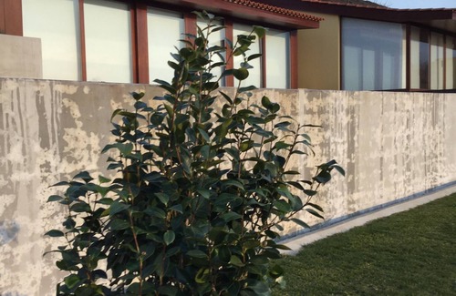 Vila Nova de Cerveira House | New house with 4 suites, beautiful view over the river