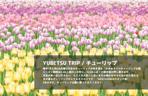 Yubetsu House | NEW HUMBER