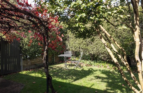 Bright Apartment | NEW Ideal for Couples and Pets-fenced garden-pets welcome inside-walk to town