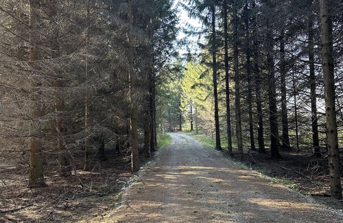 Cleveland Cottage | NEW! Lakeview Cottage on 3.5 acres w/hot tub and fire pit