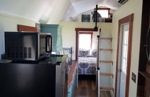 Howey-in-the-Hills House | New luxury Tiny House(s) on 6 acres with horses. Sunsets,fire pit, & Hot tub.