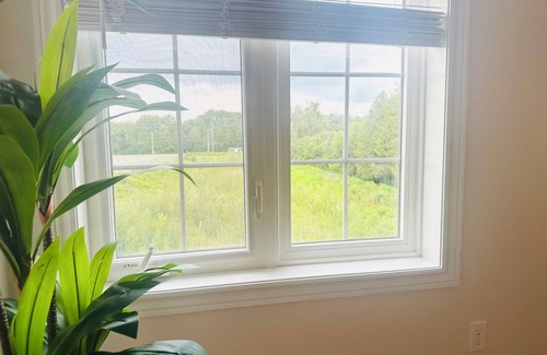 Guelph House | New, Modern & Spacious 2 bed, 1.5 bath | ~5 min to top attractions