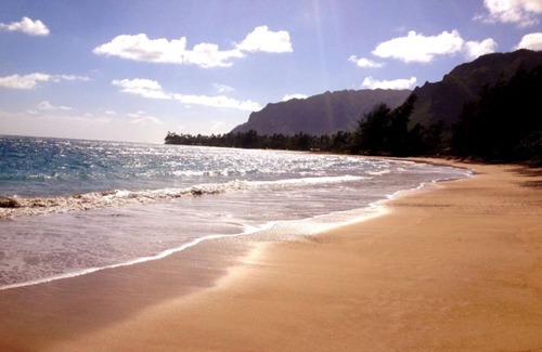Punaluu Apartment | New Oceanfront! Fully equipped 1bed/1bath apt on the beach in Punaluu