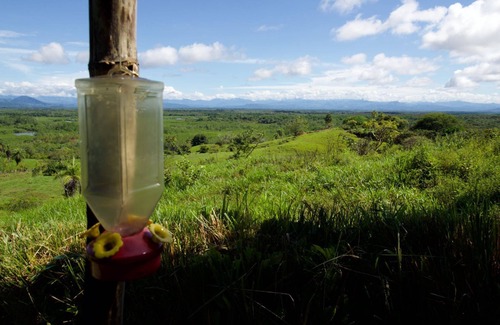 Boca Chica House | New on VRBO! Modern bungalow with fantastic views