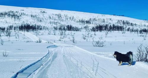 Kvaløysletta Apartment | New renovated apartment near the airport with 3 double beds