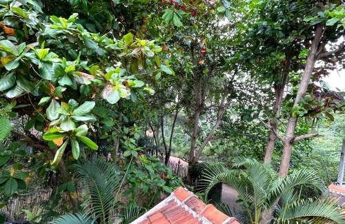 Pasikuda House | New Roy Guest House