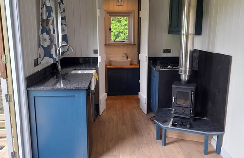 Llansadwrn Apartment | New Shepherd'shut in peaceful eco location
