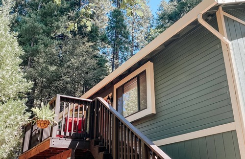 Twain Harte Cabin | New! Terrys Treehouse | Dog Friendly | Cozy Cabin