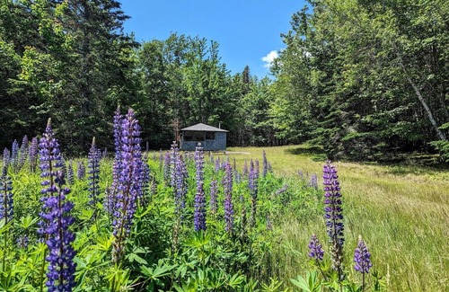 Hancock Point House | New! Tiny Log Cabin by the sea