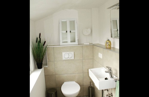 Hinrichsfehn House | NEW! Vacation home on the moor