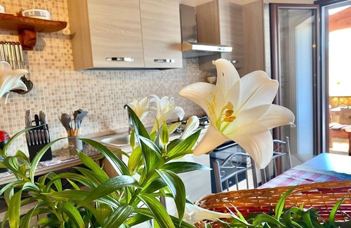 Schifoni Apartment | Newly built villas located in a quiet hamlet of San Teodoro.