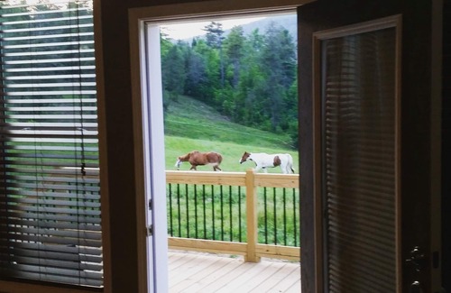 Hendersonville House | Newly Constructed Mountain Home with Garage!Wonderful Views, yet Close to Town!