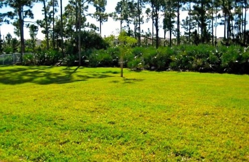 Abacoa House | Newly Constructed Immaculate 4br/3.5ba Located In The Heart Of Abacoa & Jupiter