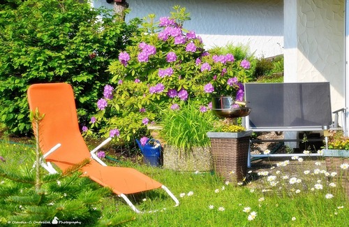 Haselbach in der Rhon Apartment | Newly renovated 3* non-smoking basement apartment for 2 persons.