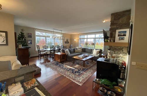 Stratton Mountain Condo | Newly listed! Mountain view condo. Walk to village, shopping and lifts!