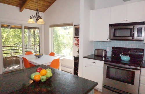 Snowmass Village Condo | Newly Remodeled Close to everything in Snowmass Village (203090-2371)