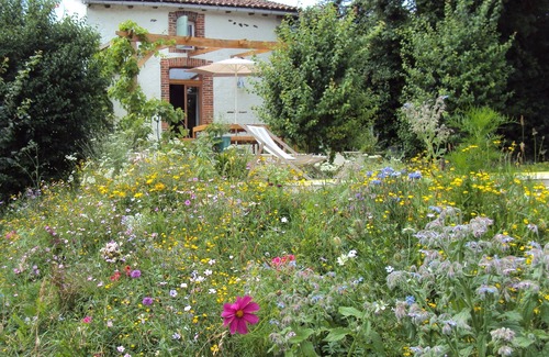 Bussiere-Poitevine Cottage | Newly-renovated countryside gite, shared use of swimming pool and games room