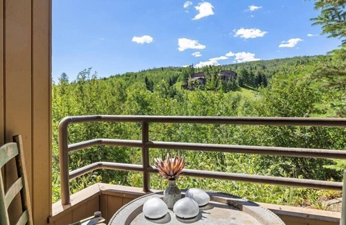 Snowmass Village Condo | Newly Renovated One Bedroom Condo in the Heart of Snowmass