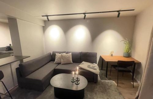 Trondheim City Centre Apartment | Newly renovated apartment in the middle of Trondheim city centre
