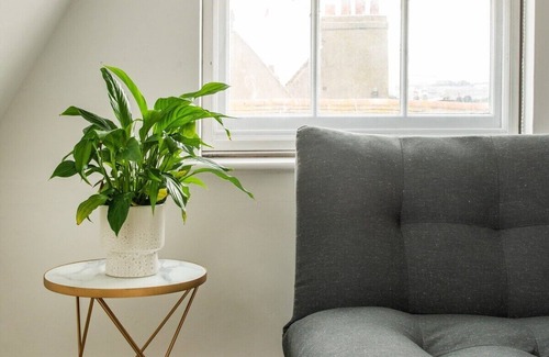 Kemptown Apartment | Newly Renovated Central 99 steps to the Sea