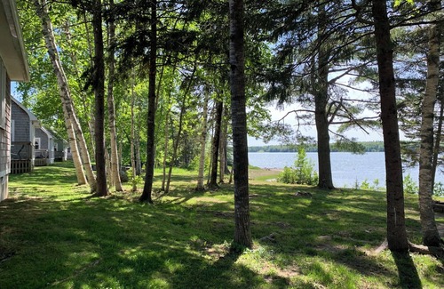 Harrington Cabin | Newly renovated Chickadee cabin on Harrington River, sleeps 4.nPet friendly