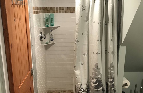 Locke Mills Condo | Newly Renovated Condo- 15 minutes from Sunday River (Pet-Friendly!)