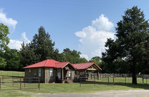Cayuga Cabin | Newly Restored Family Cabin With a Relaxing Charm