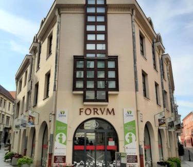 Sopron Apartment | NewOne Apartman