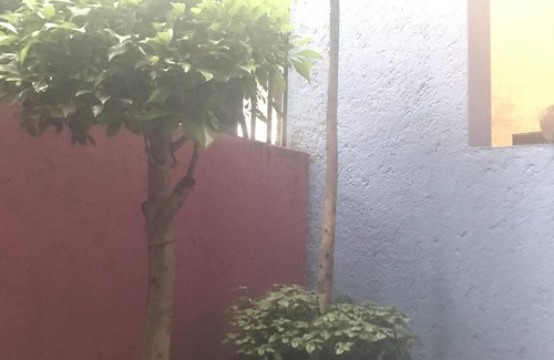 Polanco Apartment | Next to Hyatt Regency
