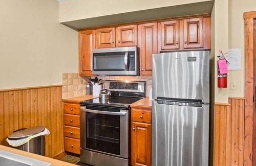 Snowshoe Apartment | Next to Ski Slopes WiFi In Village with a View
