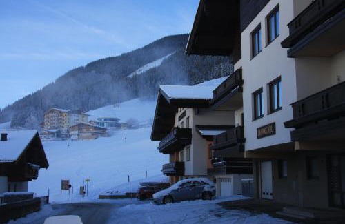 Wiesern Apartment | Next to Zwölferkogel include Jokercard