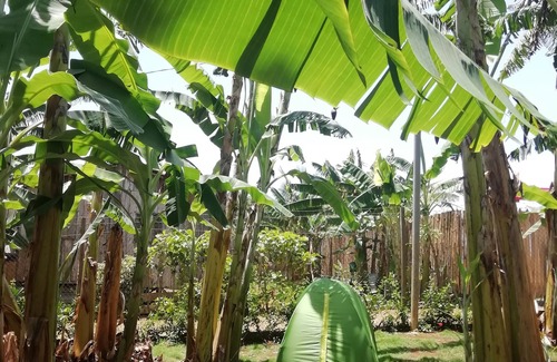 Sao Tome Island Bed & Breakfast | NGÊ D'AI ÊÊ TENDAS