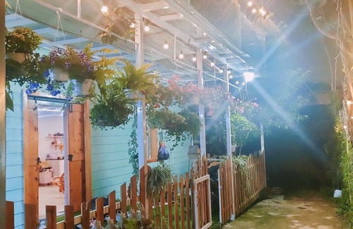 Phuong House | Ngôi nhà cuối hẻm yên tĩnh với tiếng chim hót, có ban công chill thật tuyệt vời