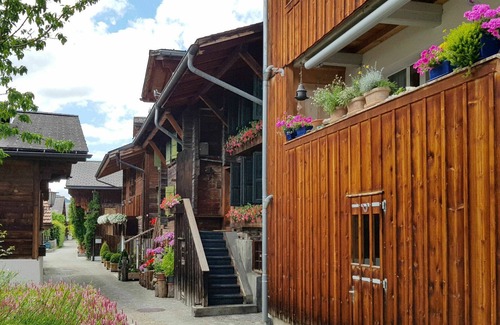 Saanen Apartment | Nice apartment for 12 people with WIFI, TV and terrace