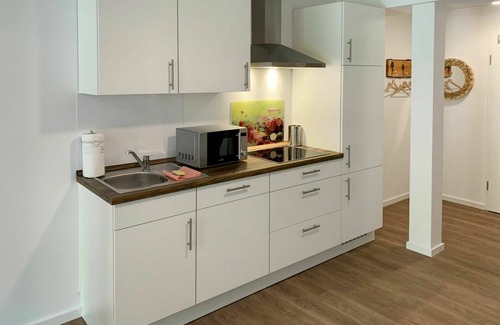 Eversmeer Apartment | Nice apartment for 3 guests with WIFI, TV, terrace and pets allowed