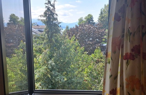 Seewalchen am Attersee Apartment | Nice apartment for 4 people with WIFI, TV, patio and panoramic view