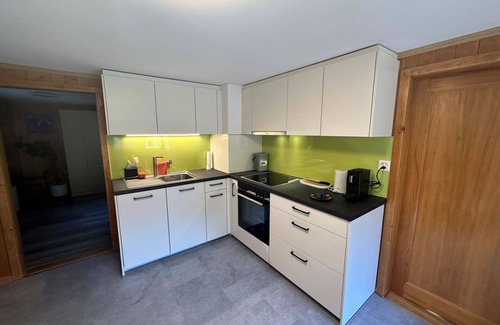 Frutigen Apartment | Nice apartment for 5 guests with TV and balcony