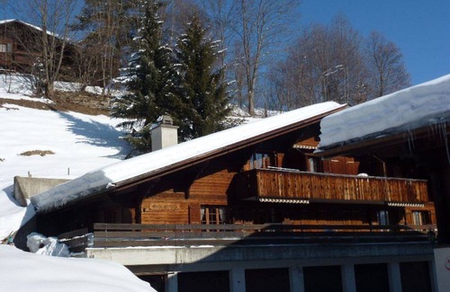 Saanen Apartment | Nice apartment for 6 people with WIFI, TV, balcony and pets allowed