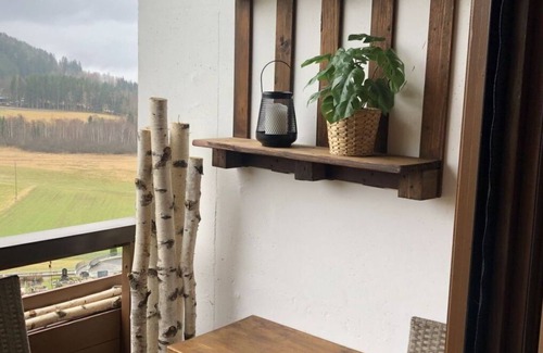 Sankt Urban Apartment | Nice apartment for 3 people with WIFI, pool, TV and balcony