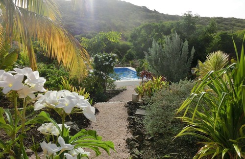 Soto Apartment | Nice apartments in the middle of a tropical garden with swimming pool