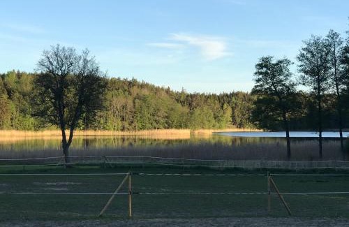 Holo House | Nice holiday house at horse farm with lake and sauna