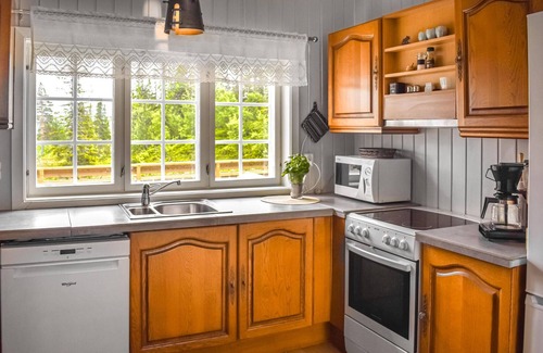 Hjartdal Municipality House | Nice home in Tuddal with kitchen
