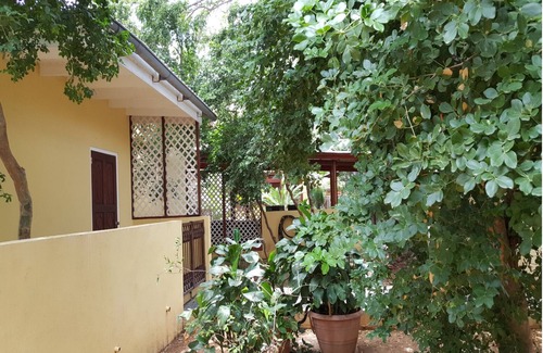 Julianadorp Apartment | Nice & private in our backyard with own entry & parking lot.