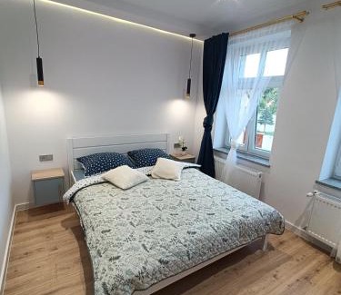 Walbrzych Apartment | Niebieski - W sercu gór Sudeckich III