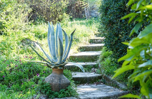 Lambinou House | Nightingale Cottage Pelion by JJ Hospitality