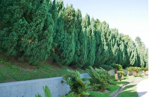 Putrajaya Condo | nnPresint 8 Putrajaya Nature Relax